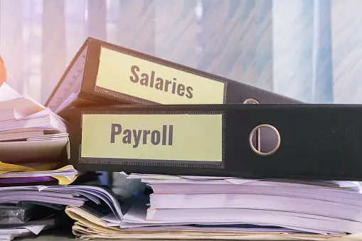 Empowering Payroll Efficiency: The Role of Employee Self-Service