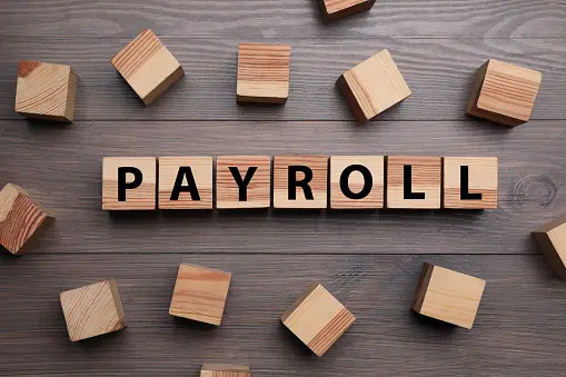 Empowering Payroll Efficiency: The Role of Employee Self-Service